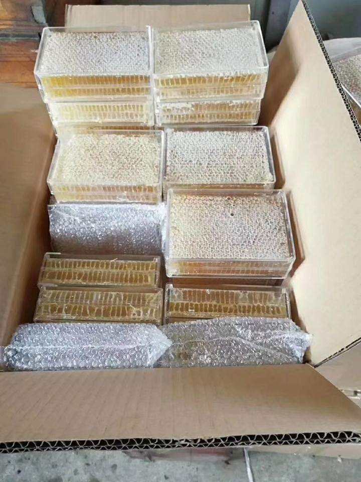 Beekeeping 250g 500g Transparent Honeycomb Box Case Honey Container Plastic Honey Cassette